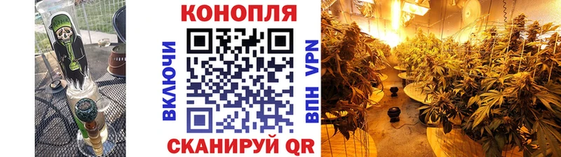 Купить закладку АМФ А ПВП КОКАИН Мефедрон Марихуана ГАШИШ Всеволожск