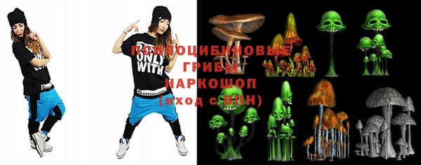 дурь Кукмор