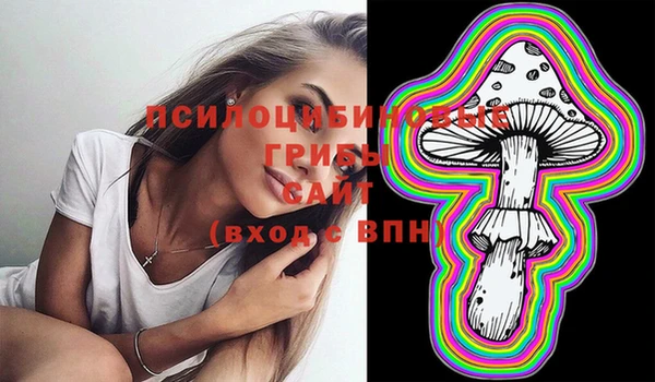 дурь Кукмор