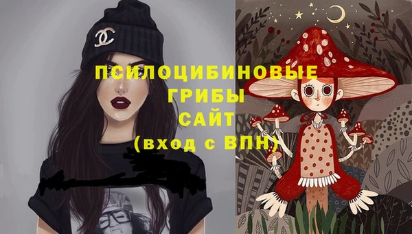 мяу мяу мука Куйбышев